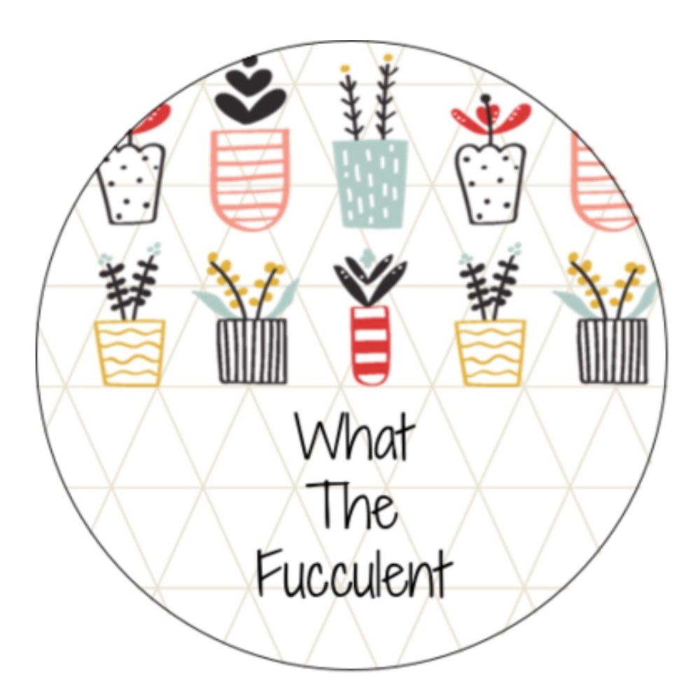 Succulent Stickers!